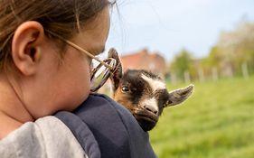 Logements Insolites A La Ferme - Yourte, Kota Ou Pod